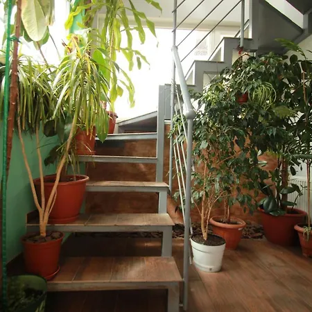 Garden Eco Design 3* Odesa